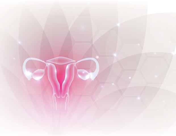 pink_female_genitalia_vagina_uterus_sum.jpg